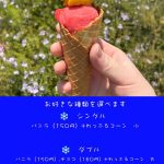 ひのでや ジェラート