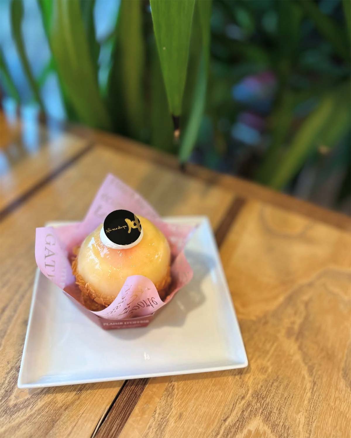 今年も桃子ちゃんの販売を開始しております