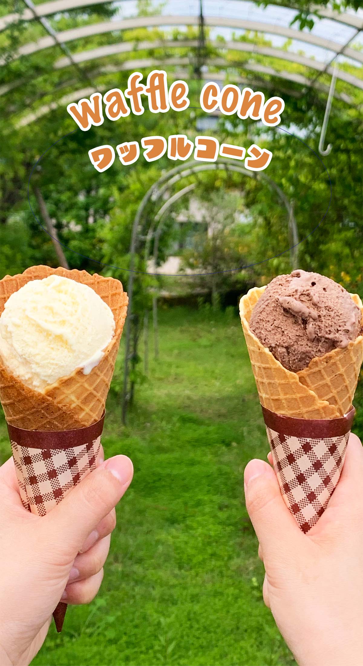 ワッフルコーン