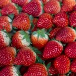 いちごタルトフェア